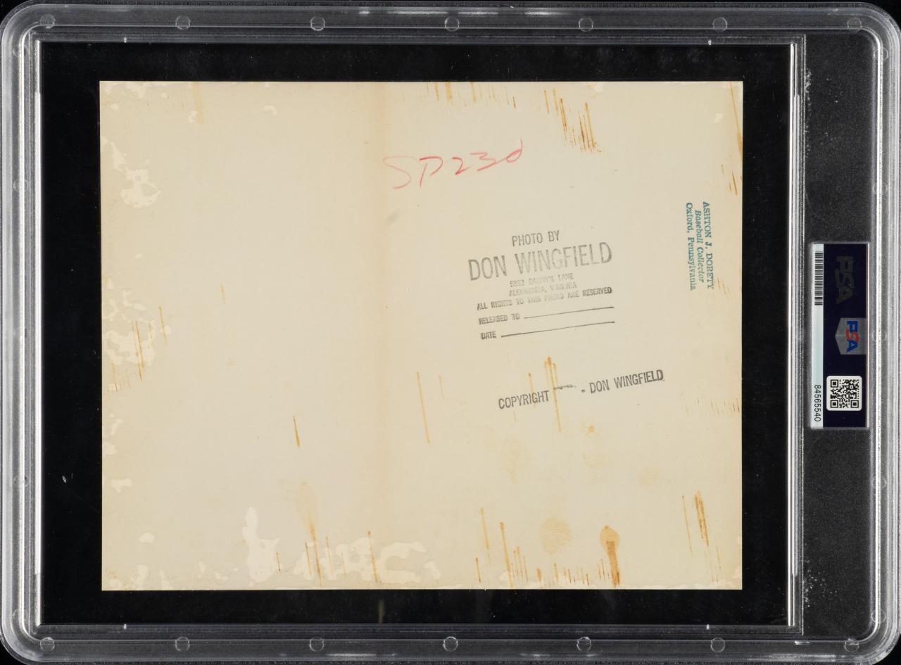 纯净的自然:脆弱而恒久的美 – 人像摄影 纯净的自然:脆弱而恒久的美 – 人像摄影