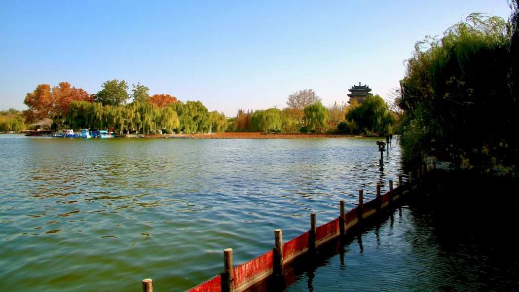 How to shoot birds with a super-telephoto lens? – Apexel How to shoot birds with a super-telephoto lens? – Apexel