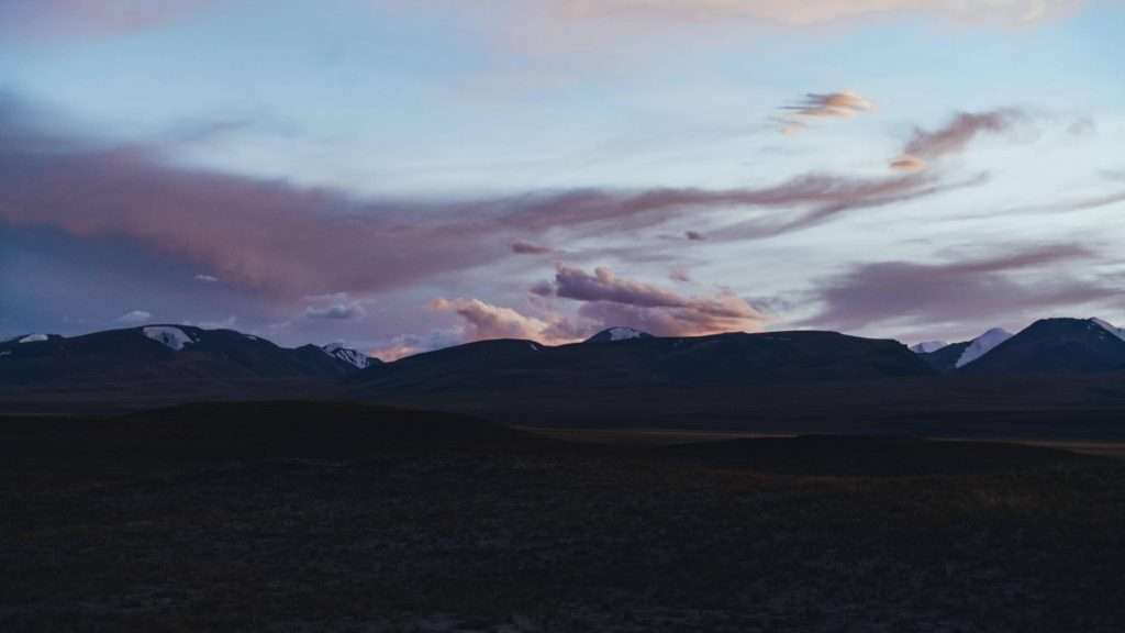 How to shoot birds with a super-telephoto lens? – Apexel How to shoot birds with a super-telephoto lens? – Apexel