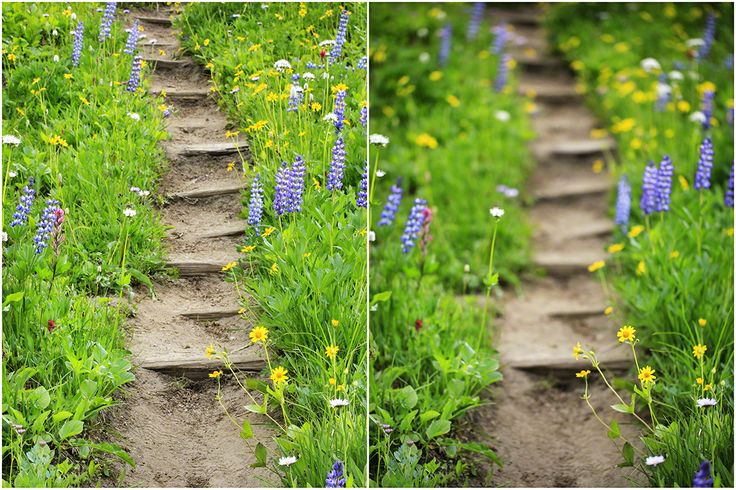 Focus on Storytelling | Learning photography, Storytelling, Photography ... Focus on Storytelling | Learning photography, Storytelling, Photography ...