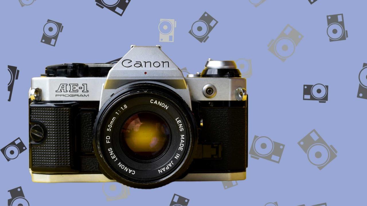 Holocaust Women Bodies