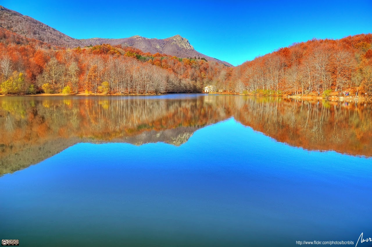 Photography Tips Photography Tips