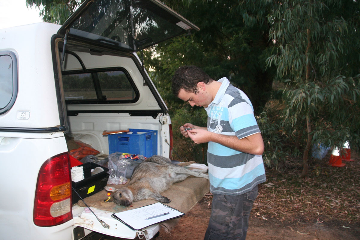 Print Media – Safe Wildlife Distance Campaign Print Media – Safe Wildlife Distance Campaign