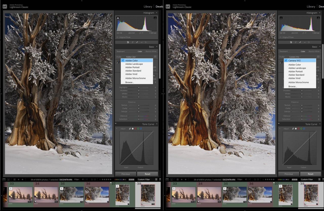 Food Capture BD - পড়াশোনার পাশাপাশি ঝালমুড়ি বিক্রি করে... | Facebook Food Capture BD - পড়াশোনার পাশাপাশি ঝালমুড়ি বিক্রি করে... | Facebook