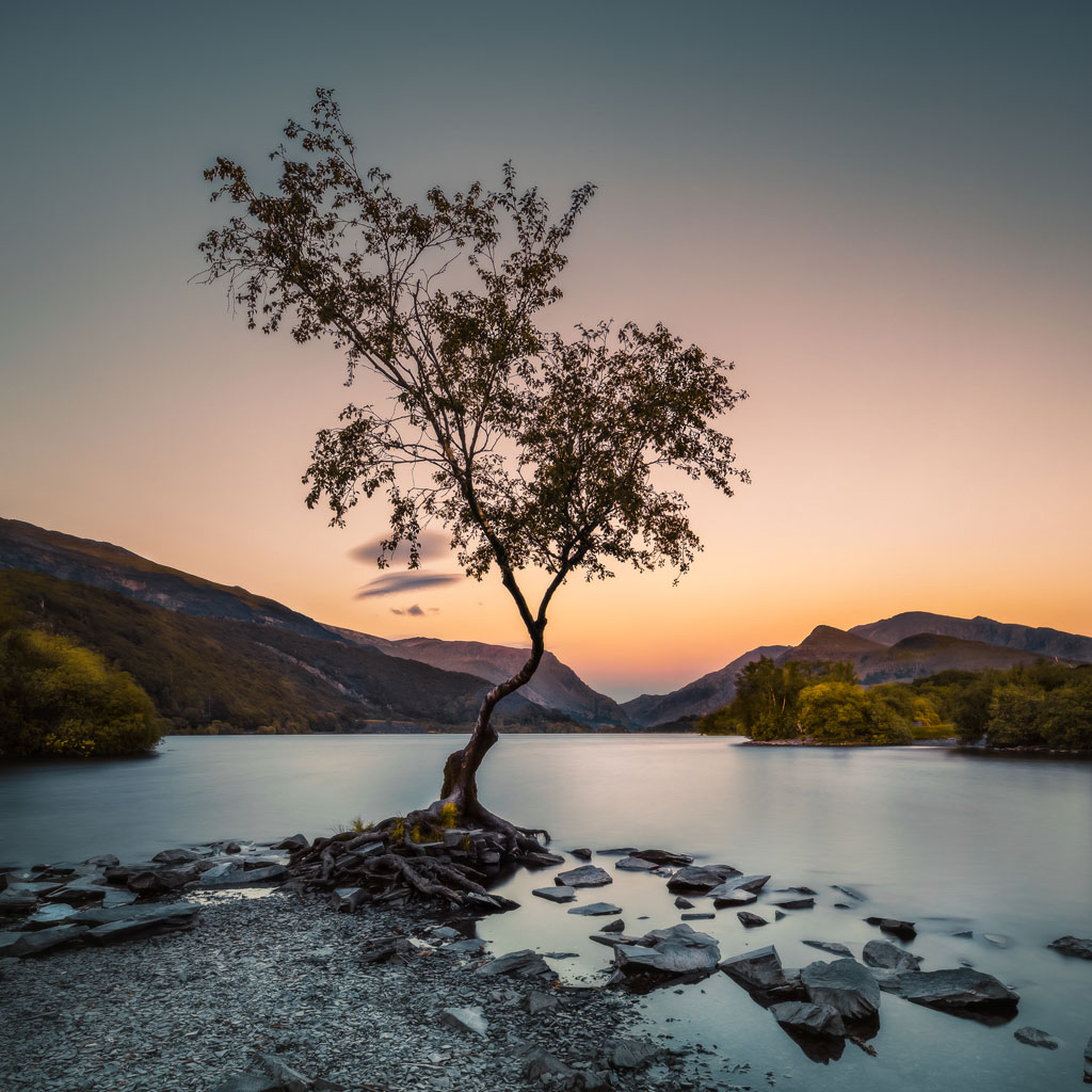 Vertical Nature Photography