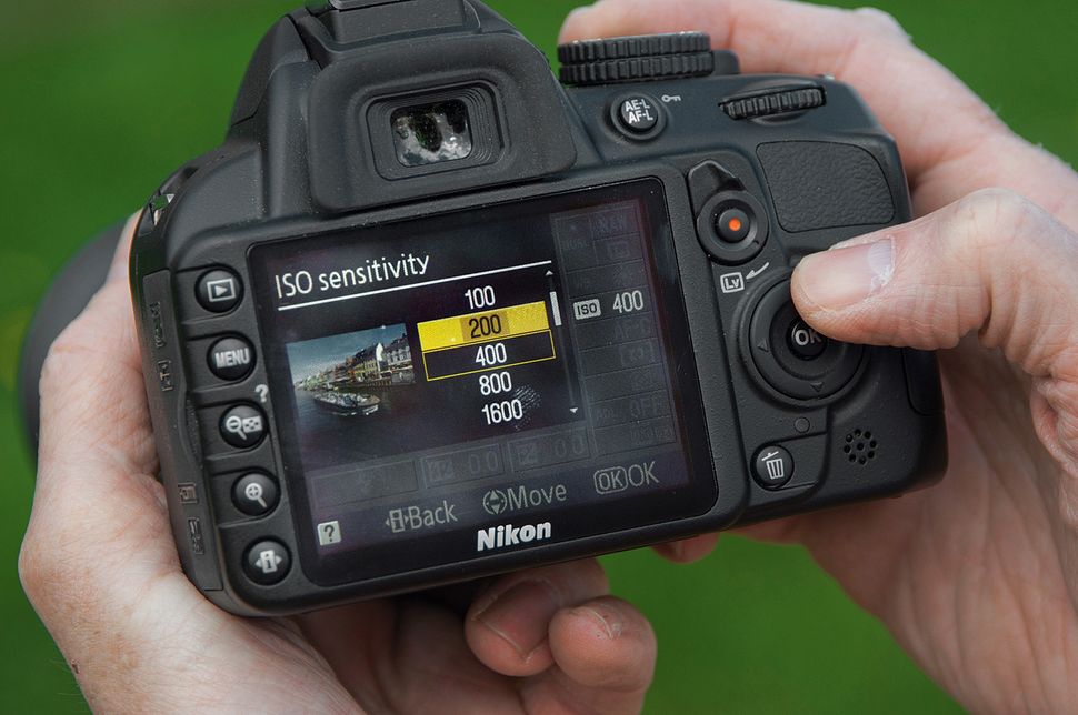 How to Shoot Great Zoo Photography (9 Best Techniques) How to Shoot Great Zoo Photography (9 Best Techniques)