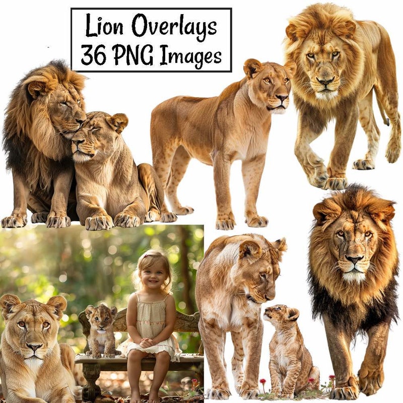 纯净的自然:脆弱而恒久的美 – 人像摄影 纯净的自然:脆弱而恒久的美 – 人像摄影