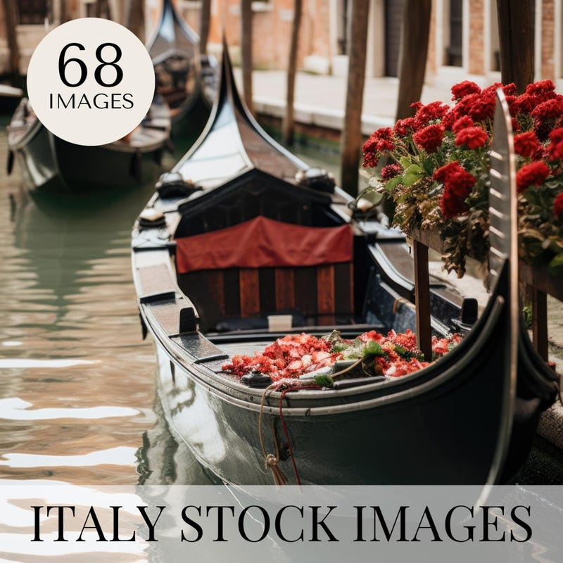 Photograph Restoration Service Market Size 2026 | Investment-Oriented ...