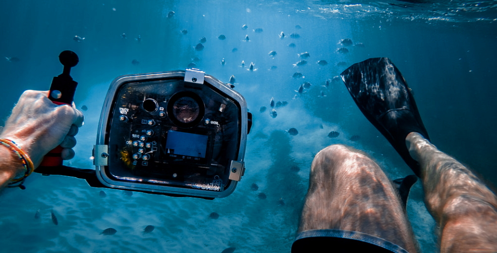 Tips For Beginners To Shoot The Best Underwater Shots » Suki Dhanda Tips For Beginners To Shoot The Best Underwater Shots » Suki Dhanda