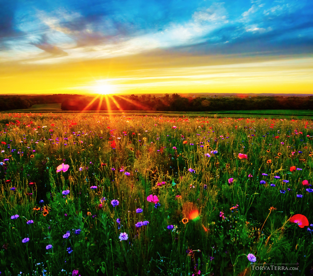 The Journey to Finding Your Style as a Photographer | Fstoppers The Journey to Finding Your Style as a Photographer | Fstoppers