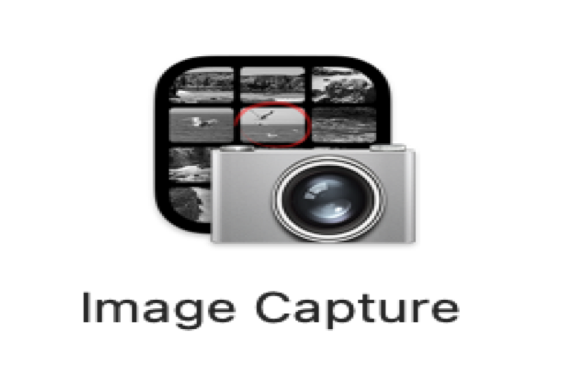 Video To Image Capture at Zoe Nanya blog
